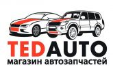TEDAUTO Пермь - logo